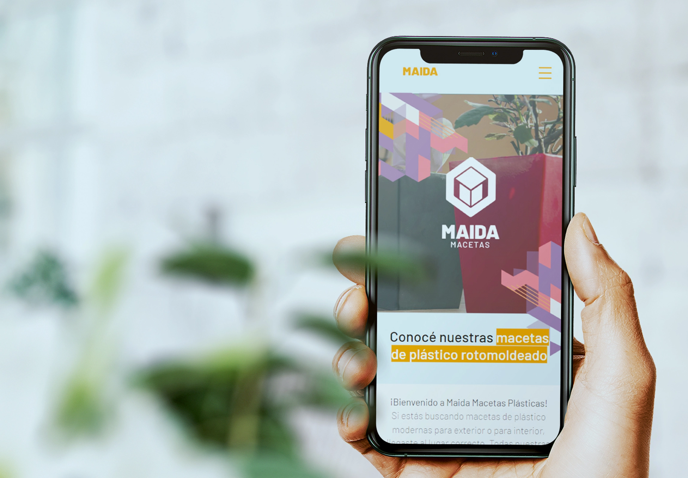 portada del trabajo de Maida Macetas