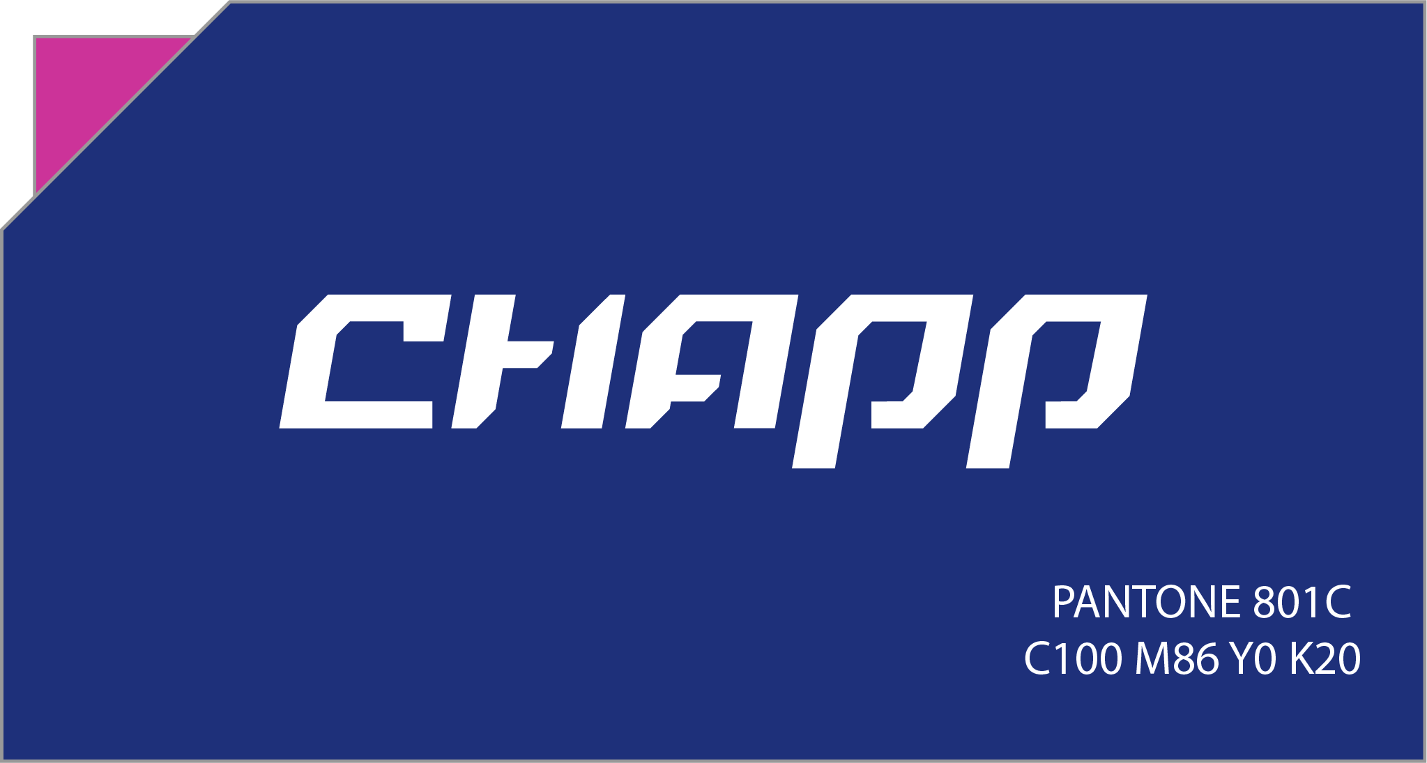 Paleta de colores y guideline de Chapp