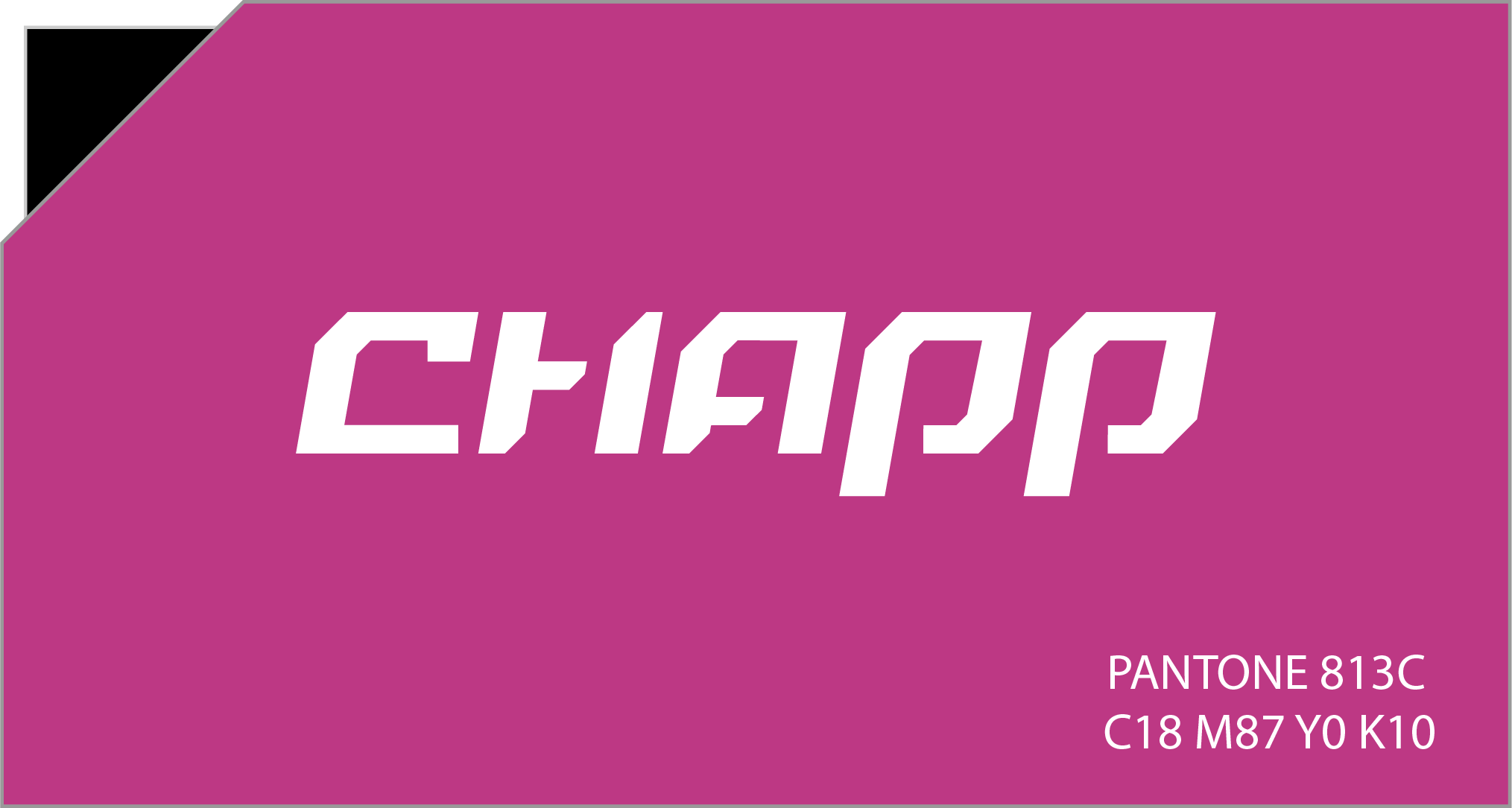 Paleta de colores y guideline de Chapp